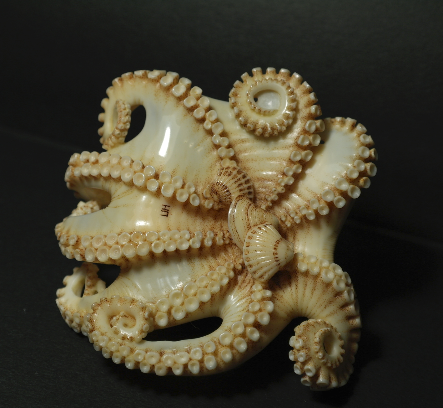 Octopus025